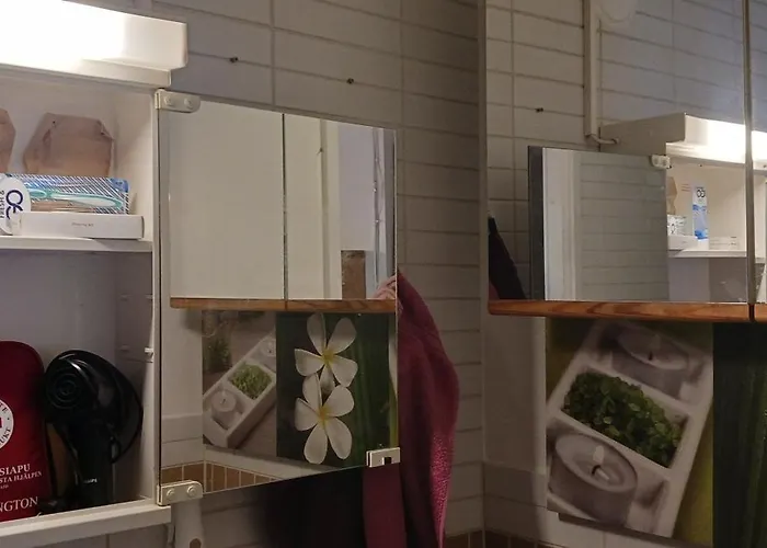 Family Deluxe - Sleep Well! Very Quiet Night - Queensize Good Quality Twinbed And Second Bedroom 2 Single Beds- Spacious 60m2 - Supermarket Prisma And Restaurang Only 200m - And Trail - Tea And Coffee - Towels Сasa de vacaciones Savonlinna